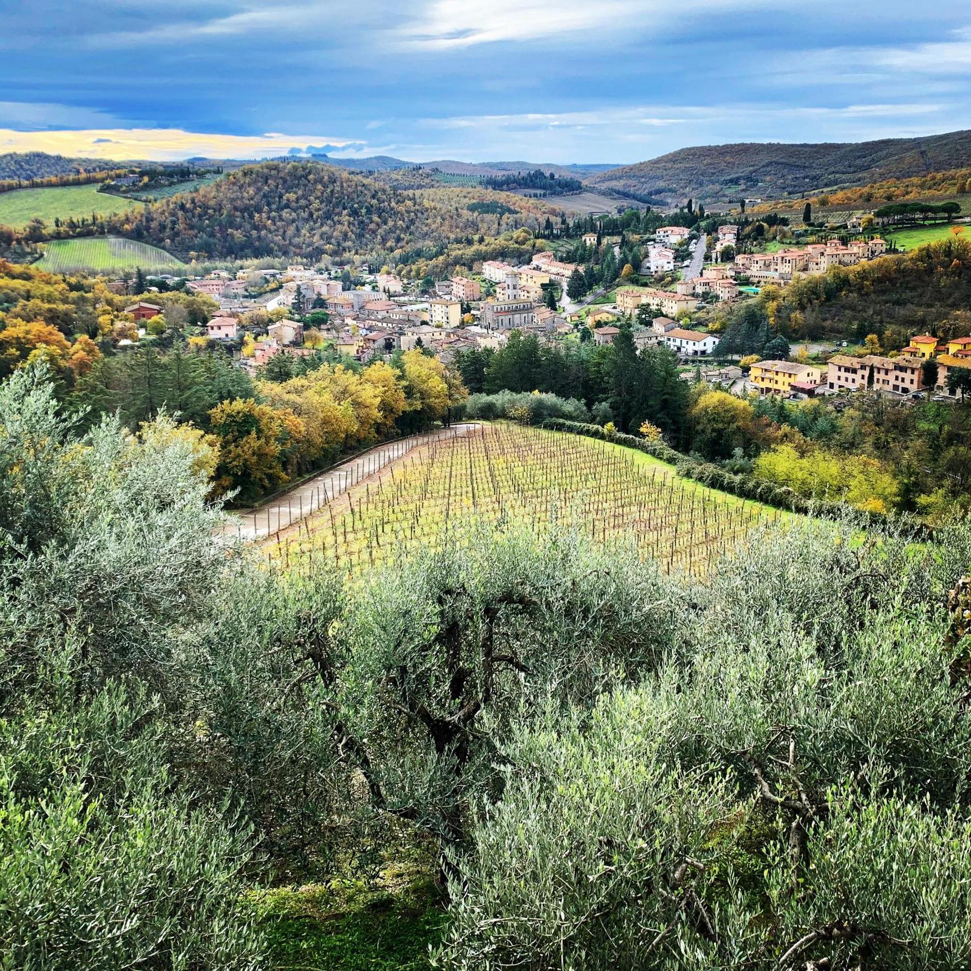 Capannelle Wine *