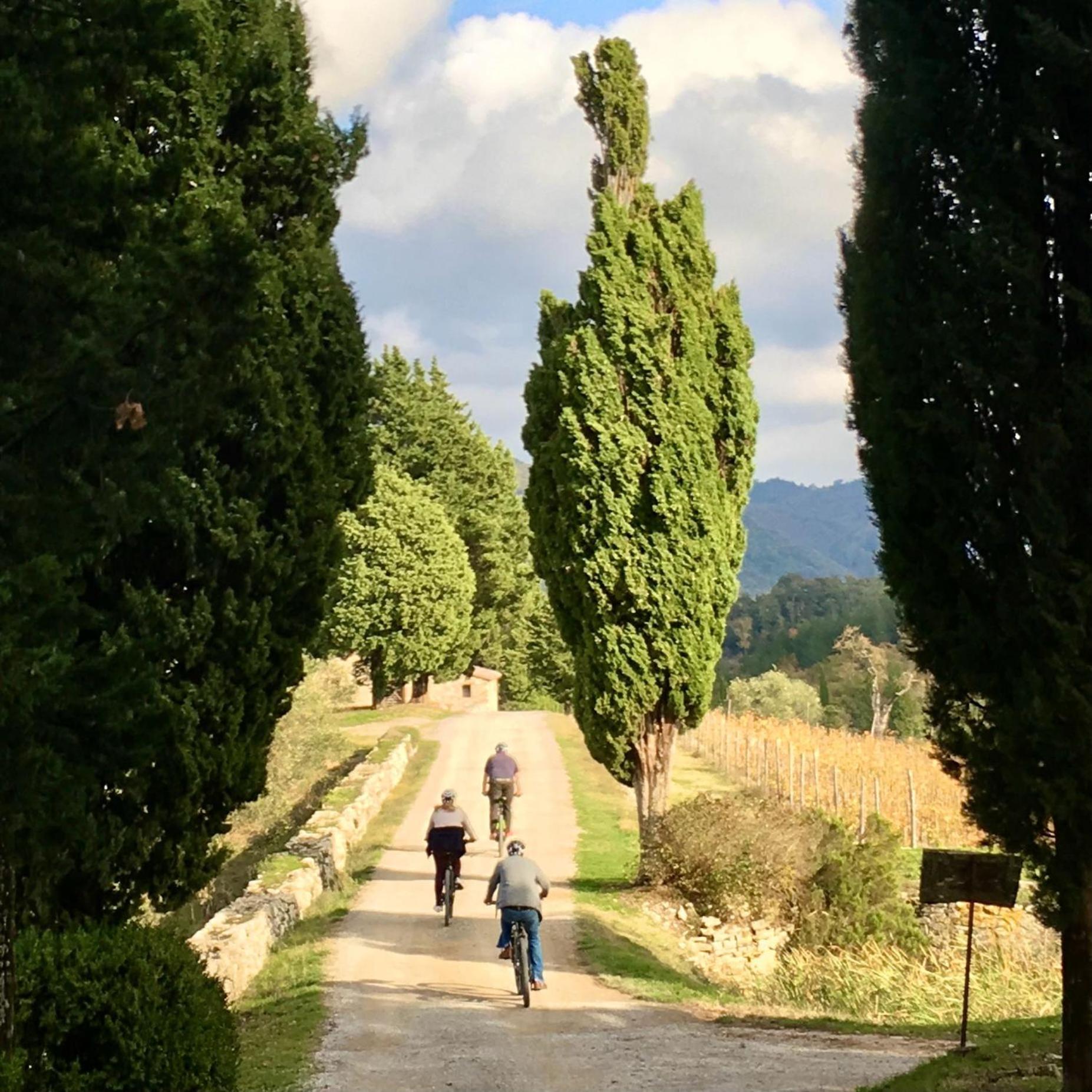 Capannelle Wine Gaiole in Chianti