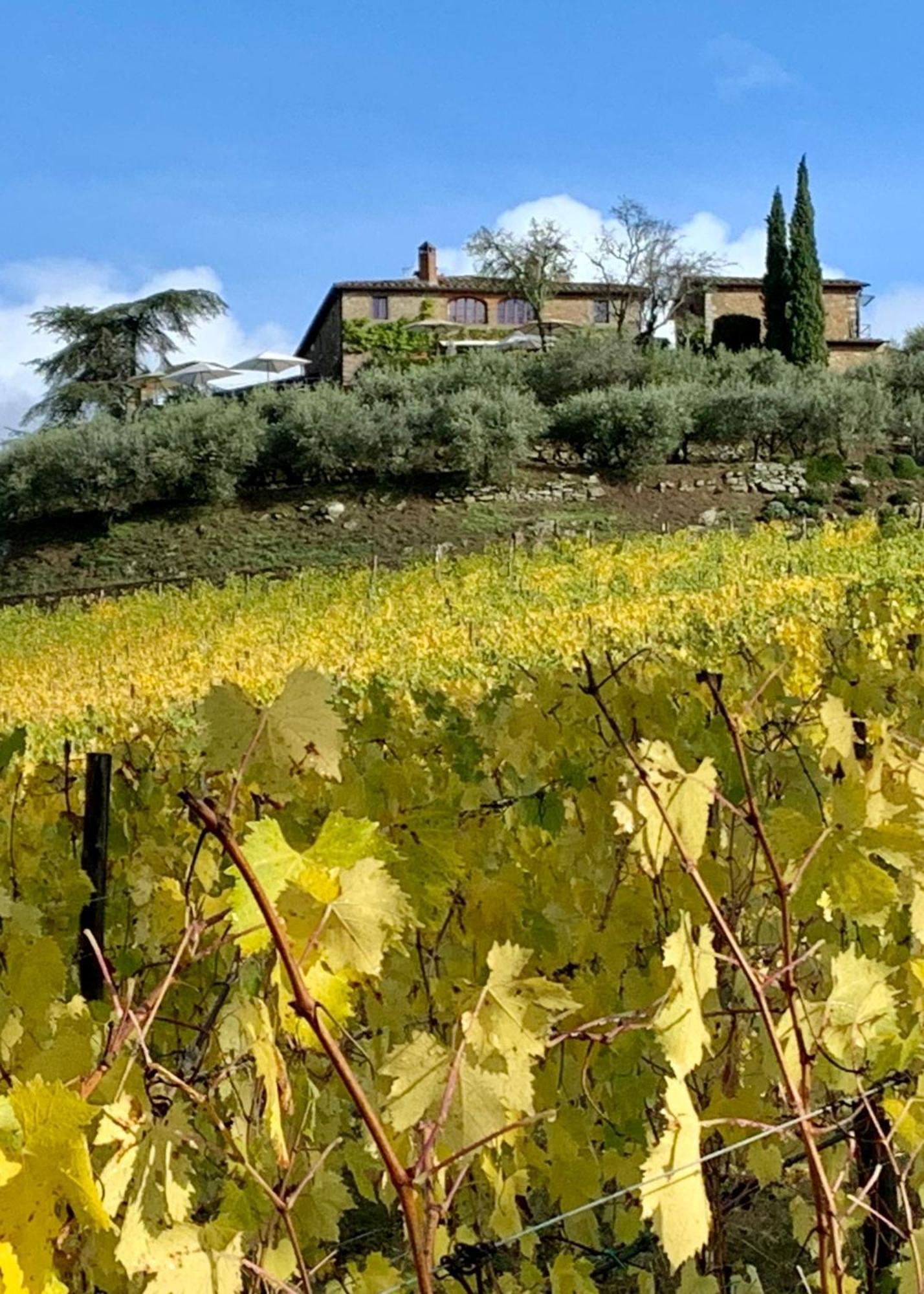 Country house Capannelle Wine