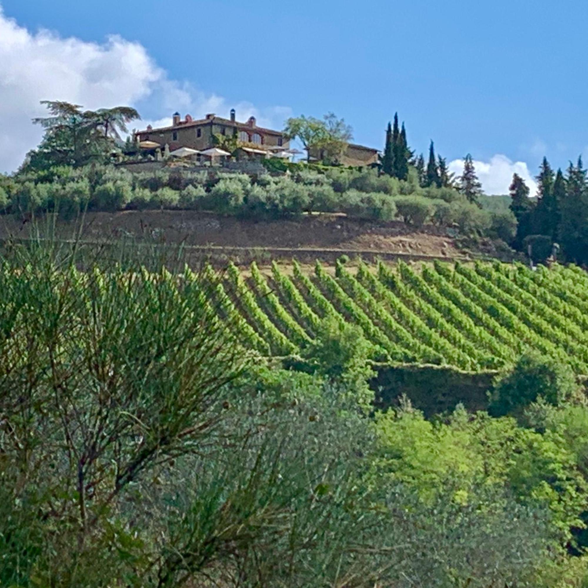 Capannelle Wine Landhaus Gaiole in Chianti